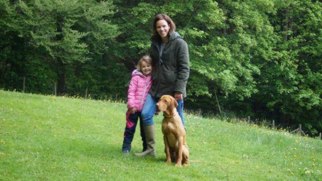 Hundeausbildung 